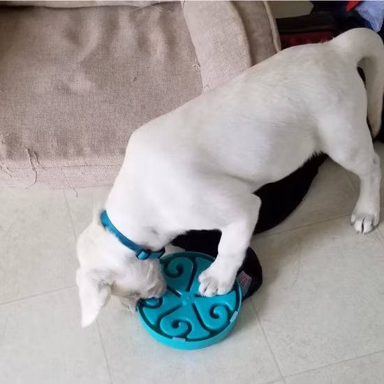 Amor e diversão em forma de almofada de comida lenta para animais de estimação grau alimentício cheiro de silicone almofada de comida lenta anti asfixia e fácil de limpar alimentador de cães